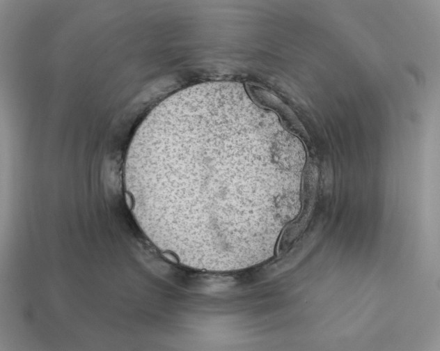 X0000112780719200909101612