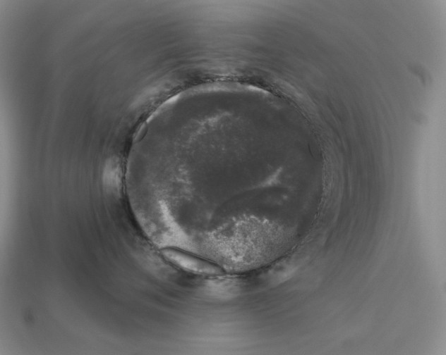 X0000112780720200909101612