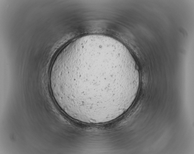 X0000112780721200909101612