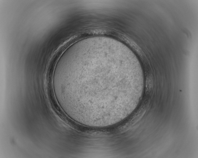 X0000112780722200909101612