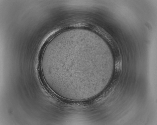 X0000112780724200909101612