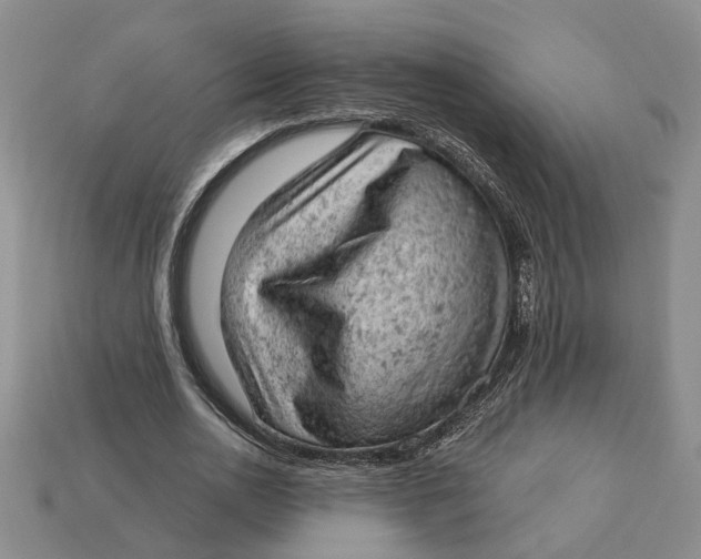 X0000112780726200909101612