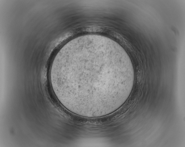 X0000112780727200909101612