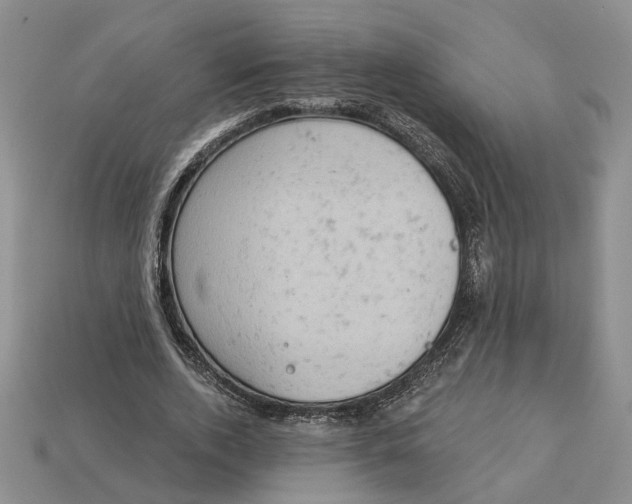 X0000112780728200909101612