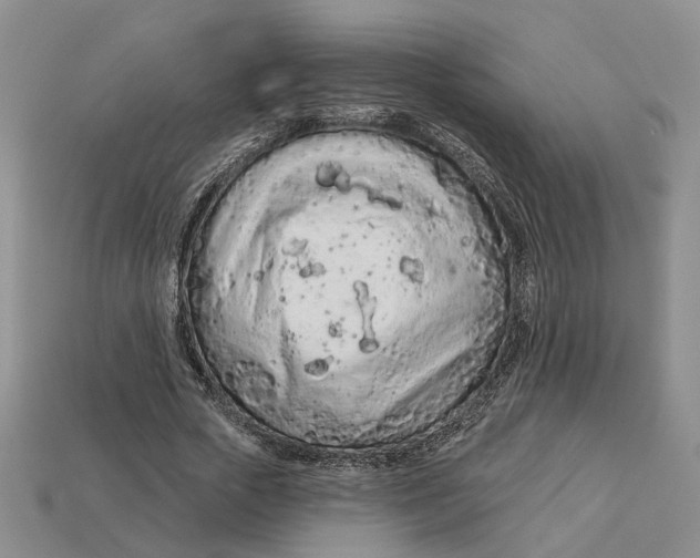 X0000112780729200909101612