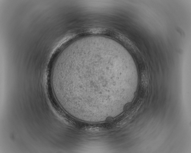 X0000112780730200909101612