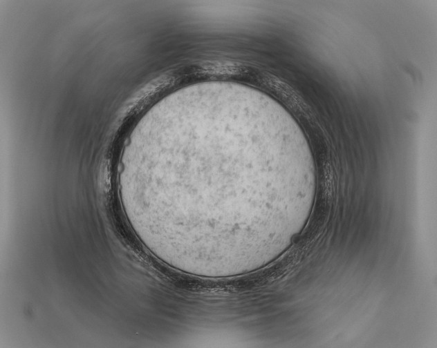 X0000112780731200909101612