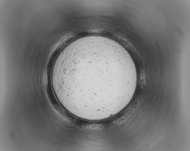 X0000112780734200909101612