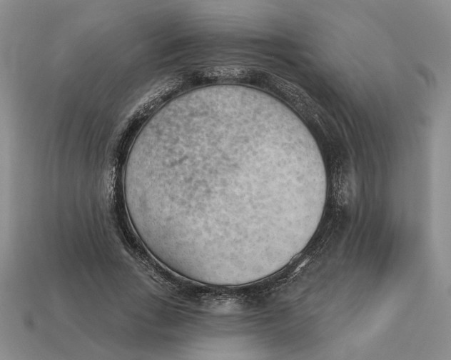 X0000112780735200909101612