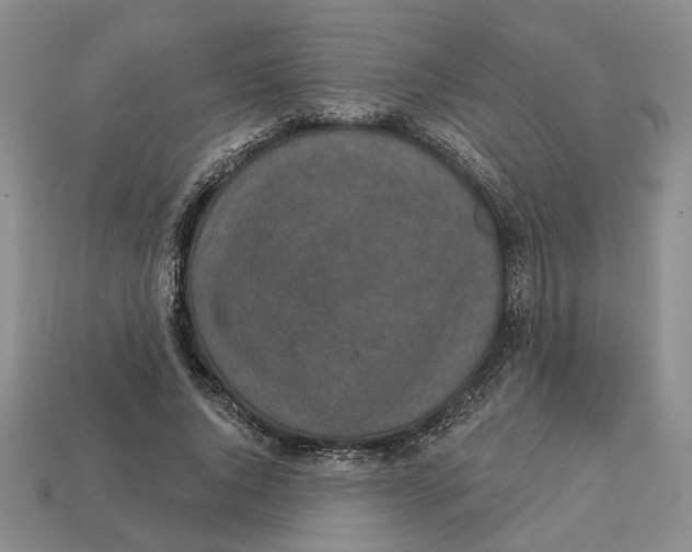 X0000112780736200909101612