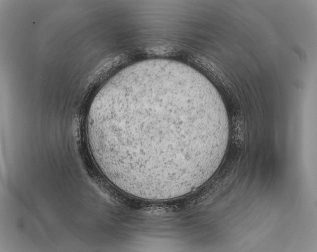 X0000112780738200909101612