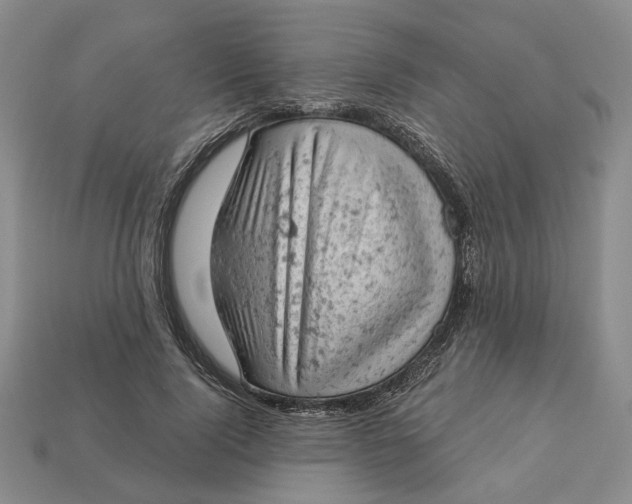 X0000112780740200909101612