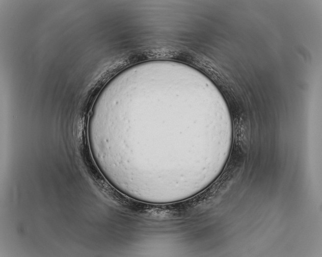 X0000112780742200909101612