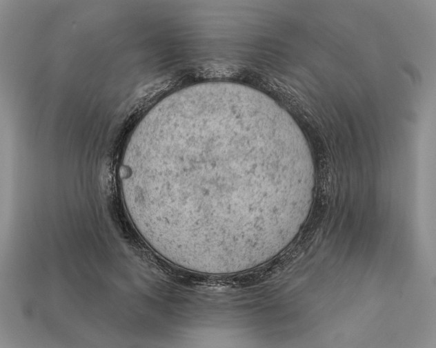 X0000112780743200909101612