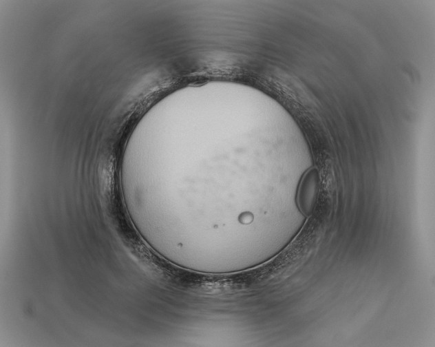 X0000112780744200909101612