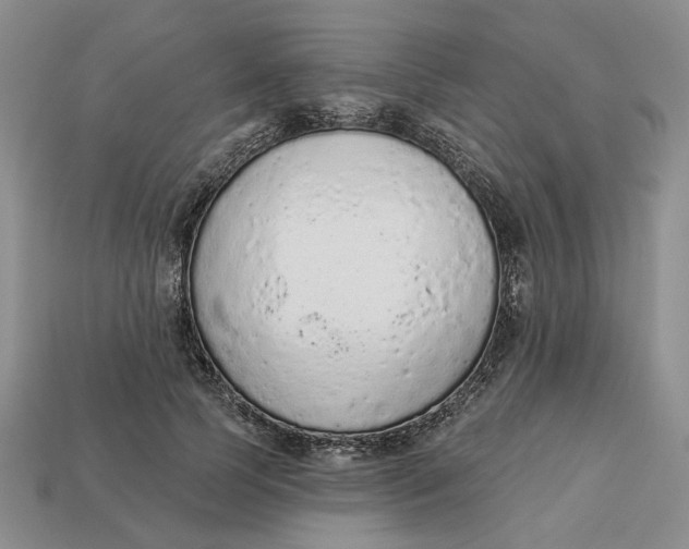 X0000112780745200909101612