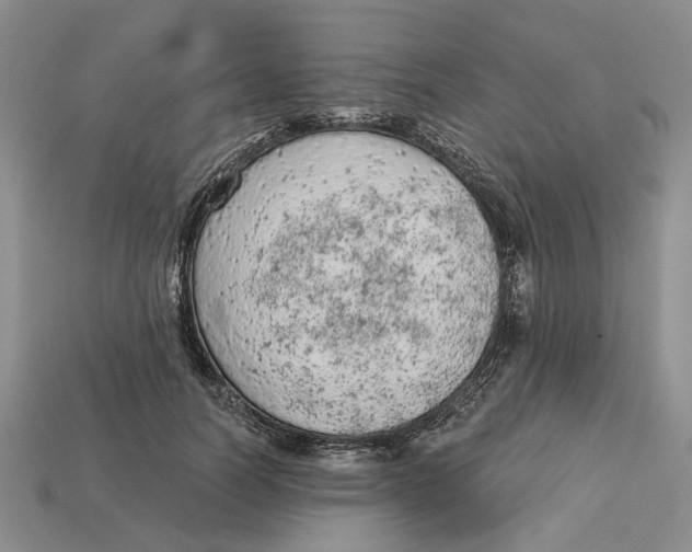 X0000112780746200909101612