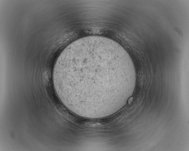 X0000112780747200909101612