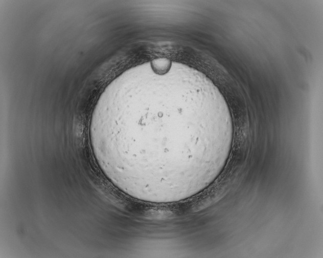 X0000112780749200909101612