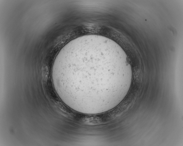 X0000112780752200909101612