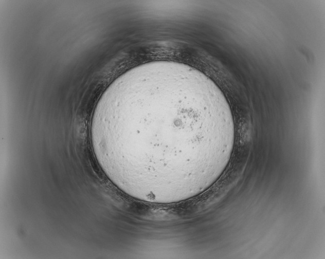 X0000112780753200909101612