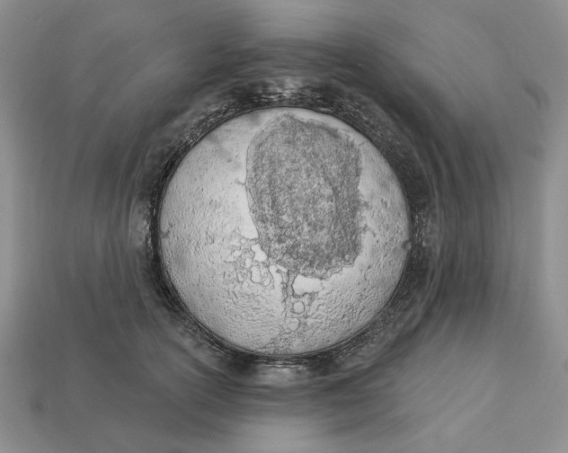 X0000112780754200909101612