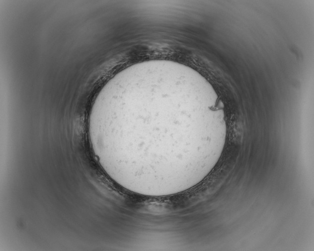 X0000112780756200909101612