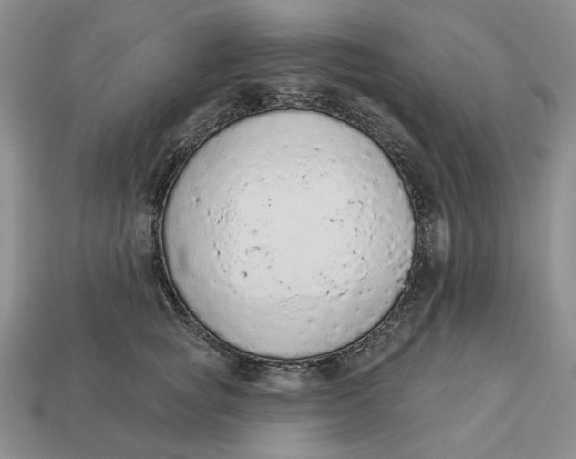 X0000112780757200909101612