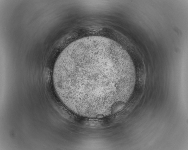 X0000112780758200909101612