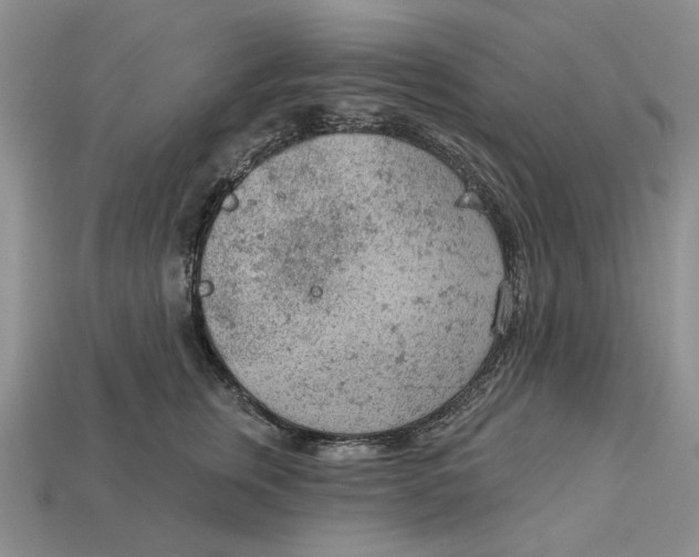 X0000112780759200909101612