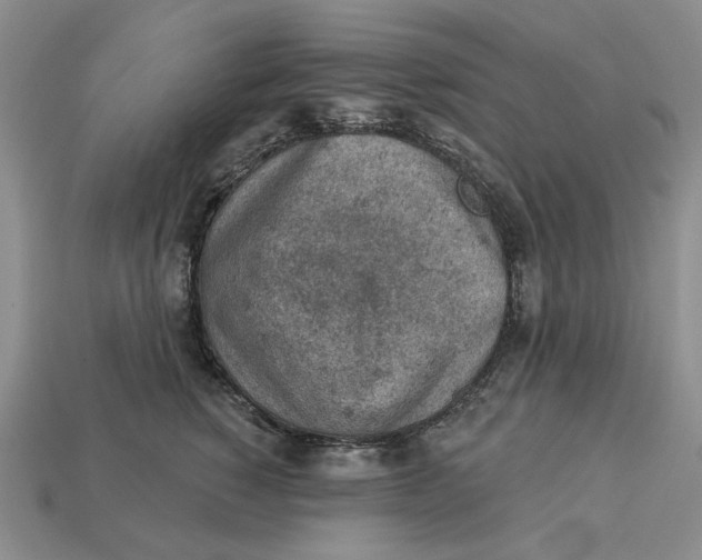 X0000112780760200909101612