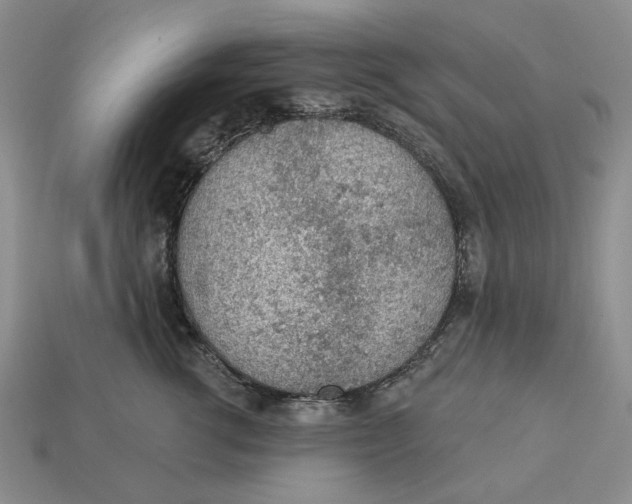 X0000112780762200909101612