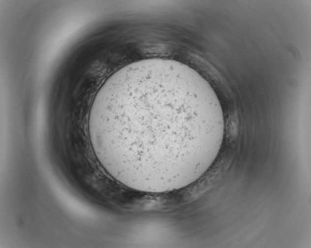 X0000112780764200909101612