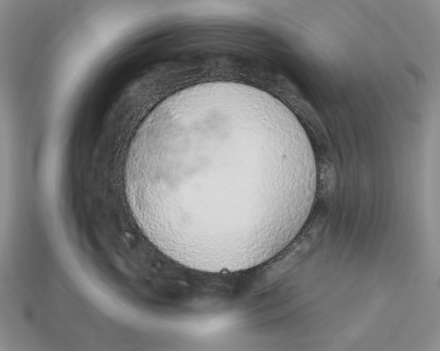 X0000112780765200909101612