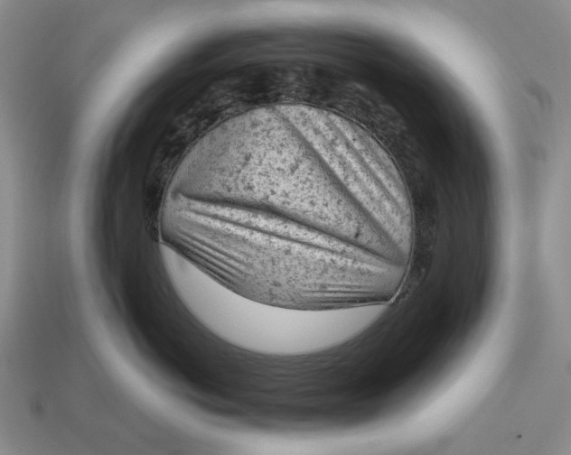 X0000112780766200909101612