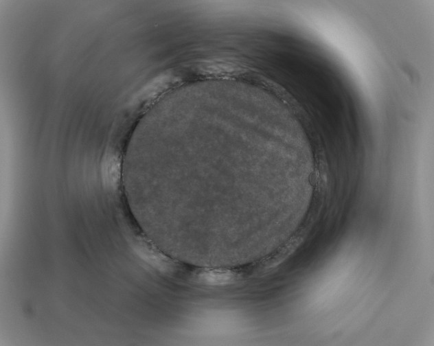 X0000112780767200909101612