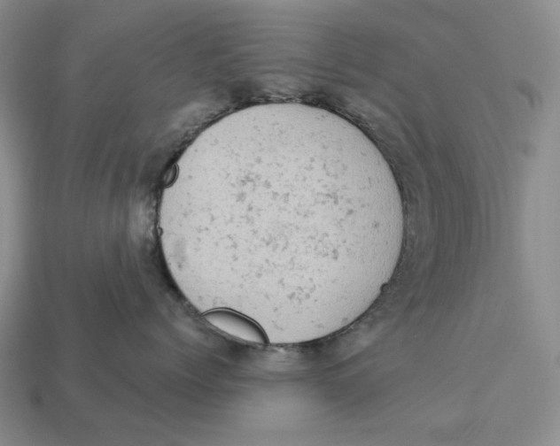 X0000112780768200909101612