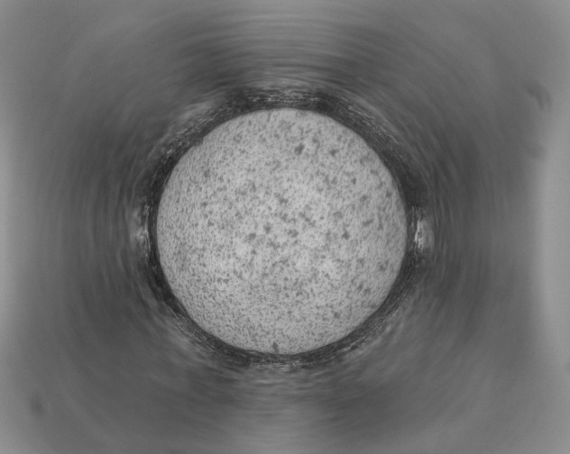 X0000112780771200909101612