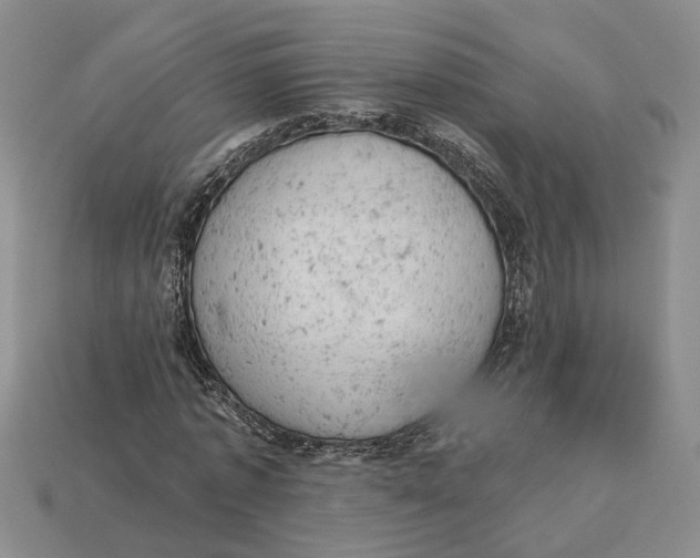 X0000112780773200909101612