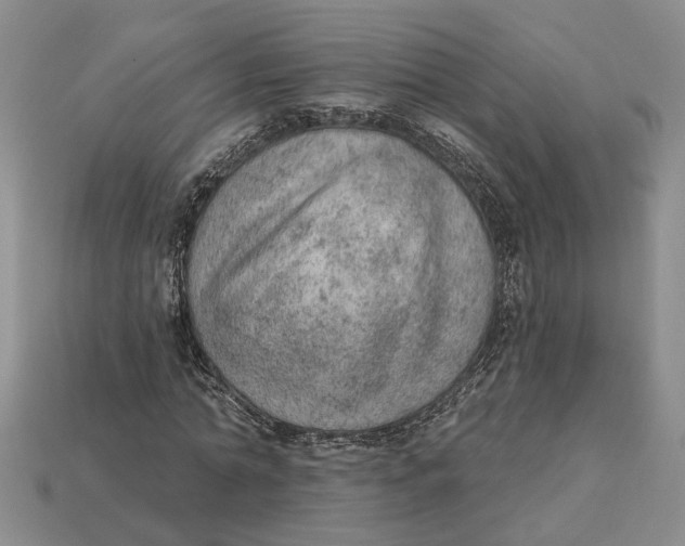 X0000112780774200909101612