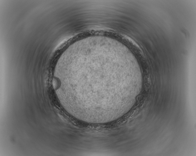 X0000112780775200909101612