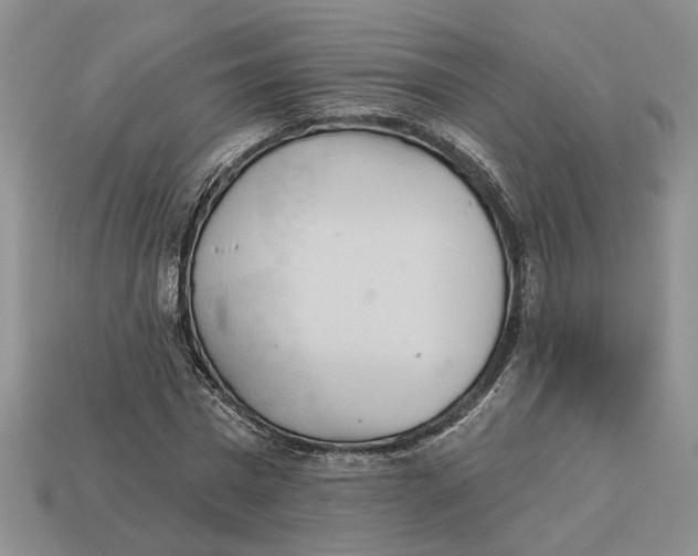 X0000112780777200909101612