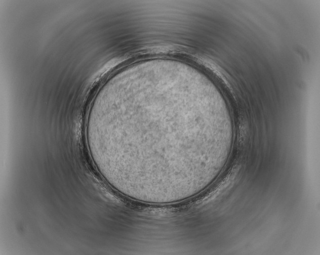 X0000112780778200909101612