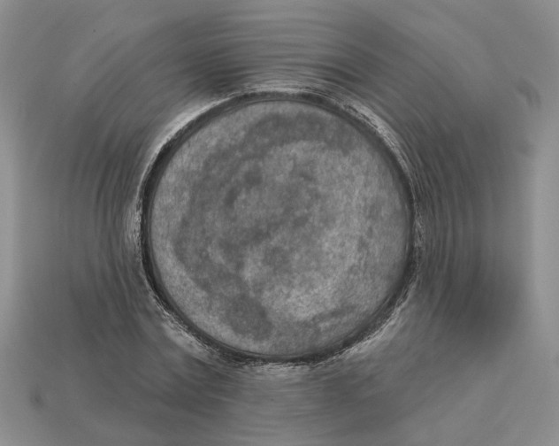 X0000112780779200909101612