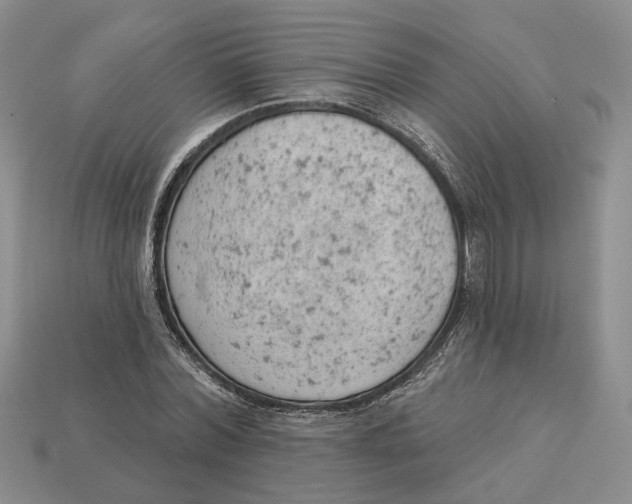 X0000112780780200909101611