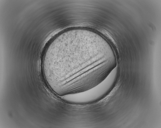 X0000112780781200909101611