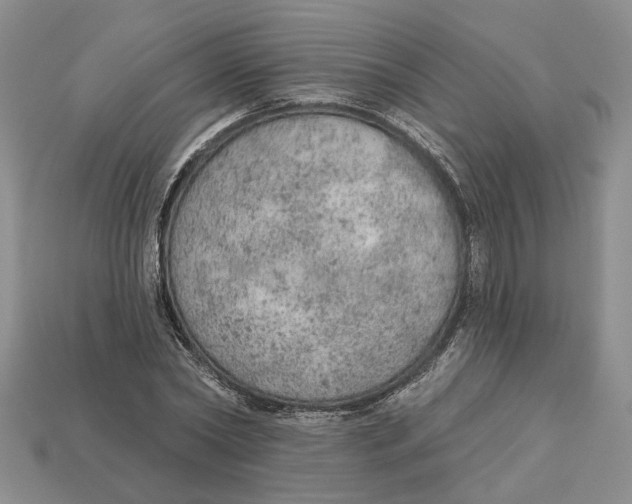 X0000112780782200909101611