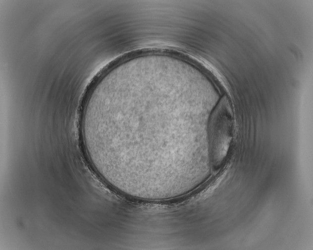 X0000112780783200909101611