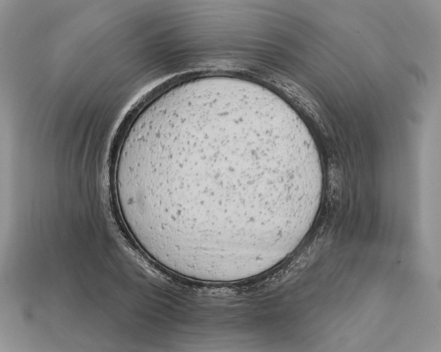 X0000112780784200909101611