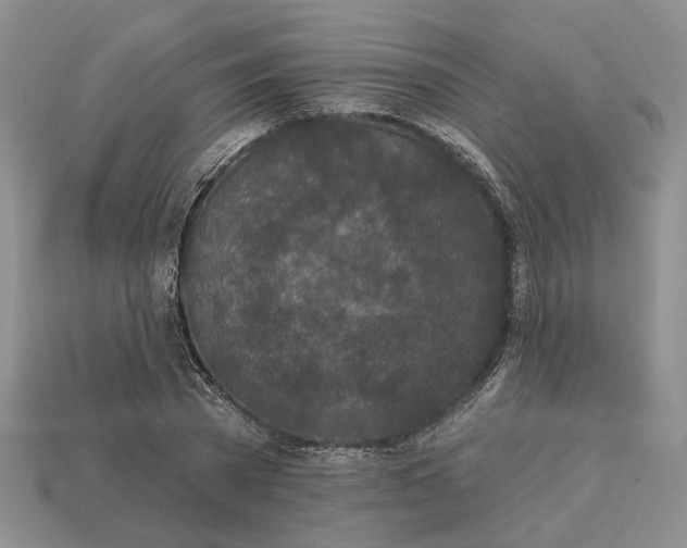 X0000112780785200909101611